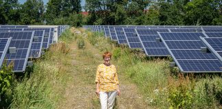 Thea Fierens staat trots op de zonneweide bij onze AWZI in Katwijk, waar we ook de biodiversiteit hebben vergroot.